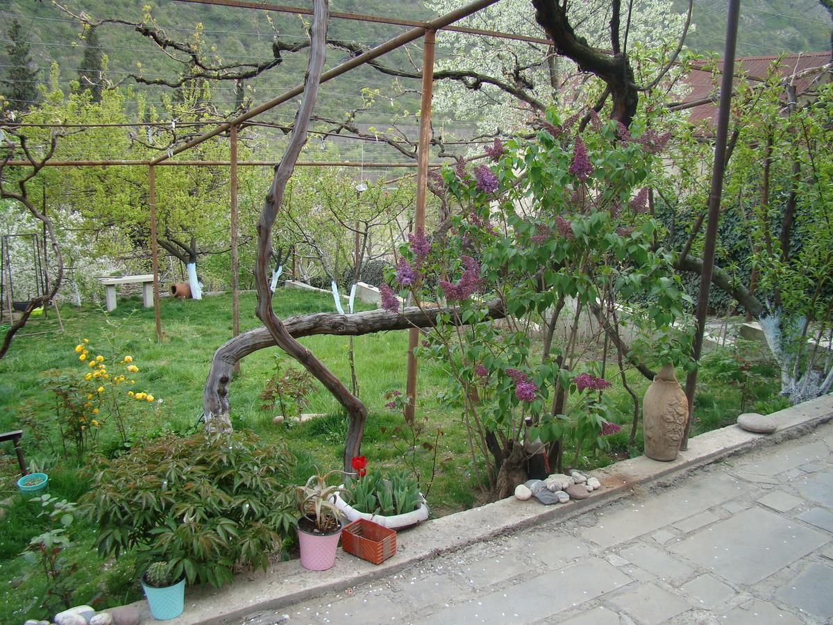 Guest House Ucha Mtsʼkhetʼa Extérieur photo