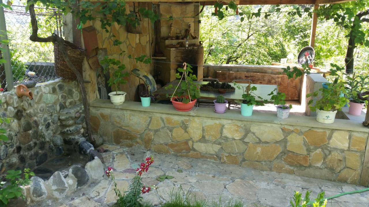 Guest House Ucha Mtsʼkhetʼa Extérieur photo