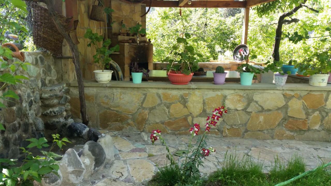 Guest House Ucha Mtsʼkhetʼa Extérieur photo