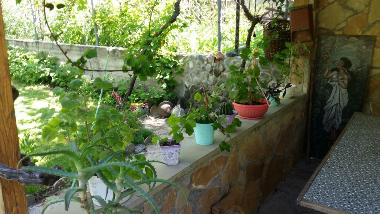 Guest House Ucha Mtsʼkhetʼa Extérieur photo