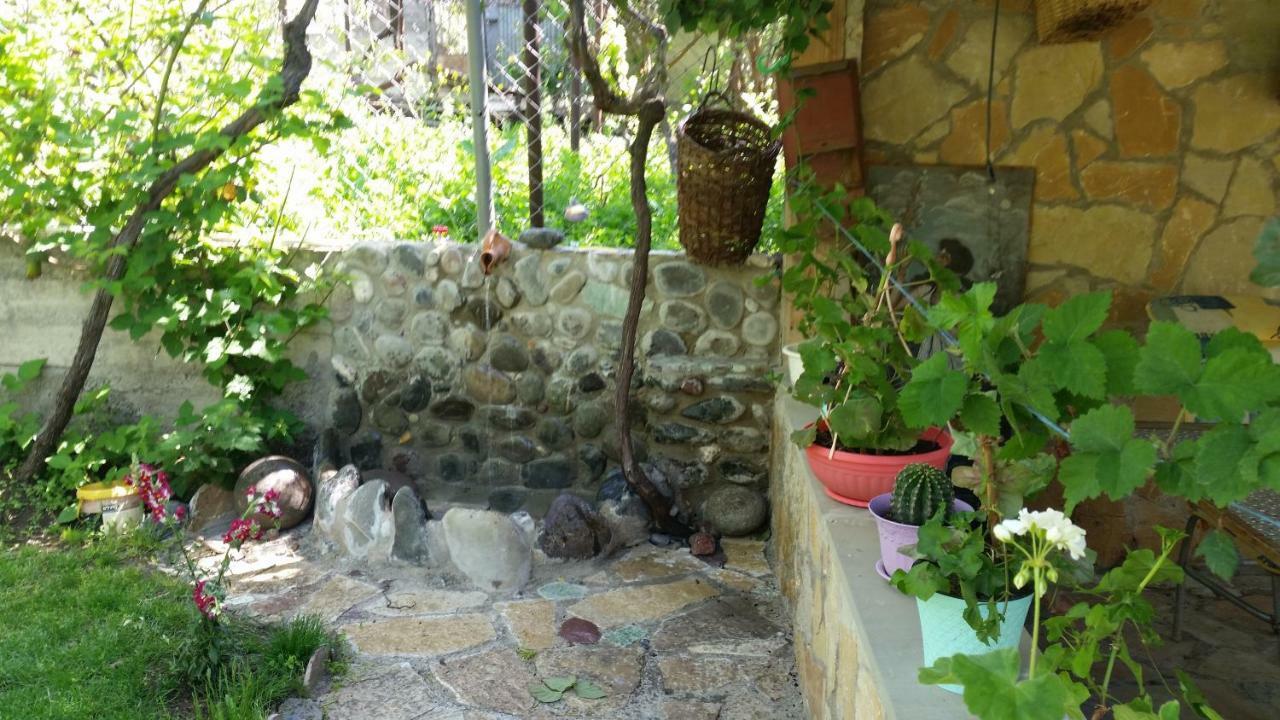 Guest House Ucha Mtsʼkhetʼa Extérieur photo
